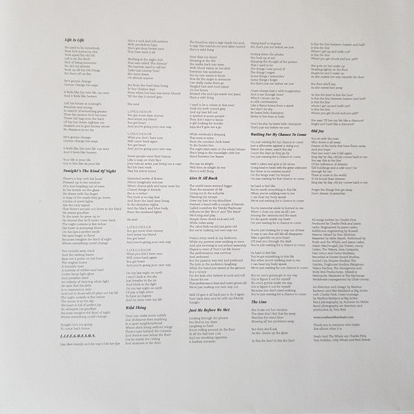 Noah And The Whale : Last Night On Earth (LP, Album)