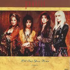 Bangles : I'll Set You Free (Remix) (12", Single)