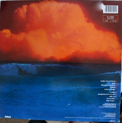 Tom Robinson : Hope And Glory (LP, Album, Gat)