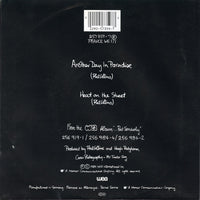 Phil Collins : Another Day In Paradise (7", Single)