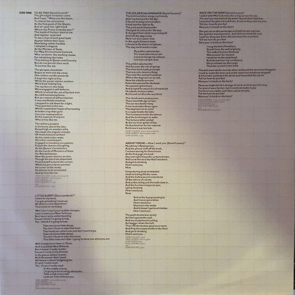 Strawbs : Nomadness (LP, Album)