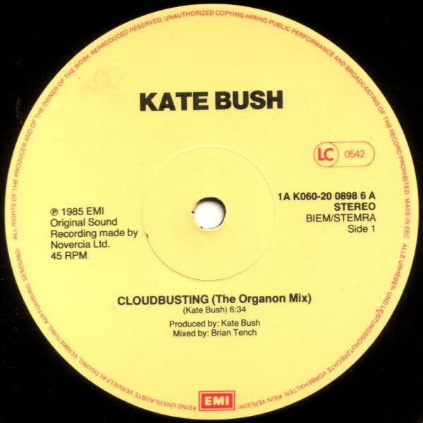 Kate Bush : Cloudbusting (12")