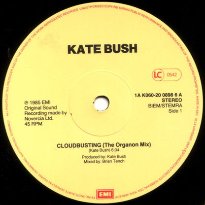 Kate Bush : Cloudbusting (12")