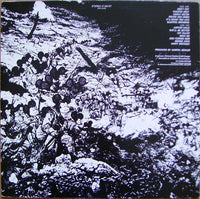 Steppenwolf : At Your Birthday Party (LP, Album)