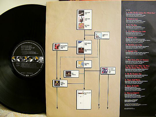 Joe Jackson : Stepping Out (The Very Best Of Joe Jackson) (LP, Comp)