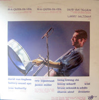 David Van Tieghem : In-A-Gadda-Da-Vida (12")