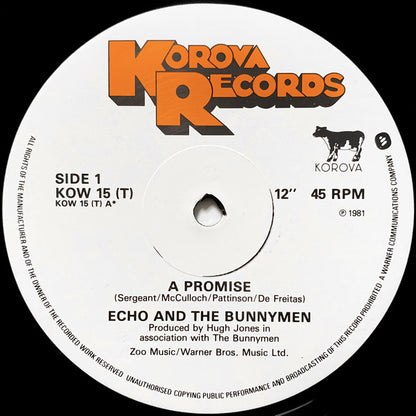 Echo And The Bunnymen* : A Promise (12", Single)