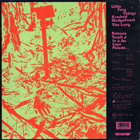 Dinosaur Jr. : You're Living All Over Me (LP, Album, RE)