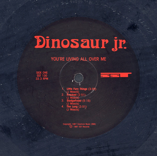 Dinosaur Jr. : You're Living All Over Me (LP, Album, RE)