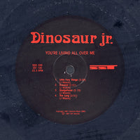 Dinosaur Jr. : You're Living All Over Me (LP, Album, RE)