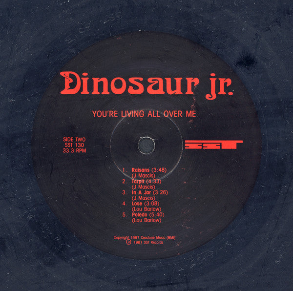 Dinosaur Jr. : You're Living All Over Me (LP, Album, RE)