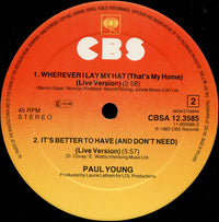 Paul Young : Love Of The Common People (Extended Club Mix) (12", Maxi)