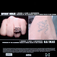 Twin* And Alchemist : Different Worlds (12")