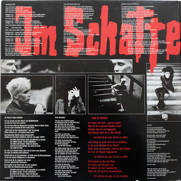 Die + Ärzte* : Im Schatten Der Ärzte (LP, Album, Gat)