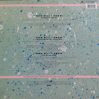 Whitney Houston : How Will I Know (John »Jellybean« Benitez-Remix) (12", Maxi)