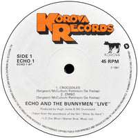Echo And The Bunnymen* : Shine So Hard (12", Single)