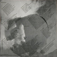 Sonic Youth : Bad Moon Rising (LP, Album)