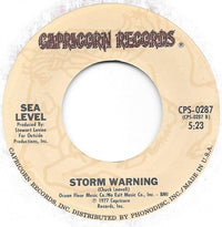 Sea Level : That's Your Secret (7", Styrene, Pit)
