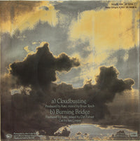 Kate Bush : Cloudbusting (7", Single)