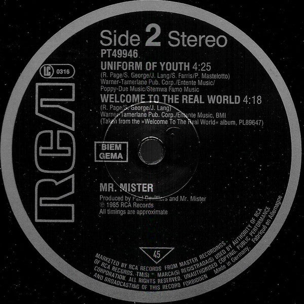 Mr. Mister : Broken Wings (Extended Version) (12", Single)