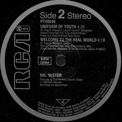 Mr. Mister : Broken Wings (Extended Version) (12", Single)