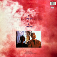 Culture Beat Featuring Lana E. And Jay Supreme : I Like You (12", Maxi)