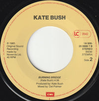 Kate Bush : Cloudbusting (7", Single)