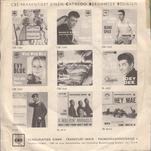 Fats And His Cats : Our Slop Is Here To Stay (7", Single)