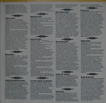 Various : The Blues Vol. 4 (2xLP, Comp, Mono)