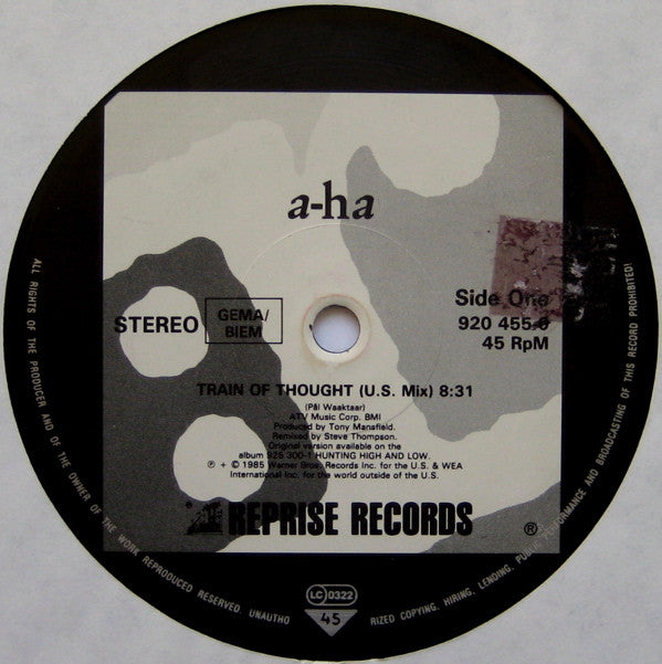 a-ha : Train Of Thought (12", Single)