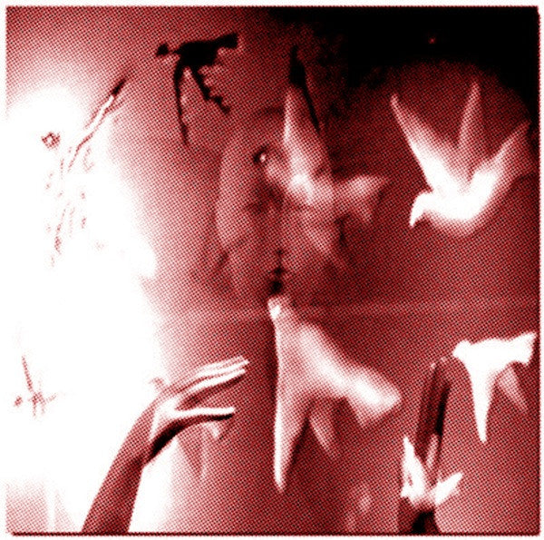 Buck Gooter : Consider The Grackles (LP, Album)