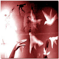 Buck Gooter : Consider The Grackles (LP, Album)