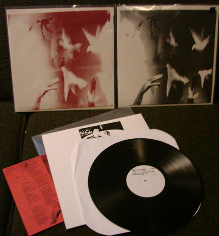 Buck Gooter : Consider The Grackles (LP, Album)