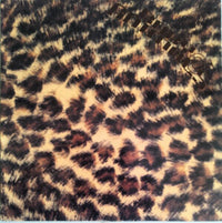 Baby Animals : Babyus Animalus (12", Promo, S/Edition)