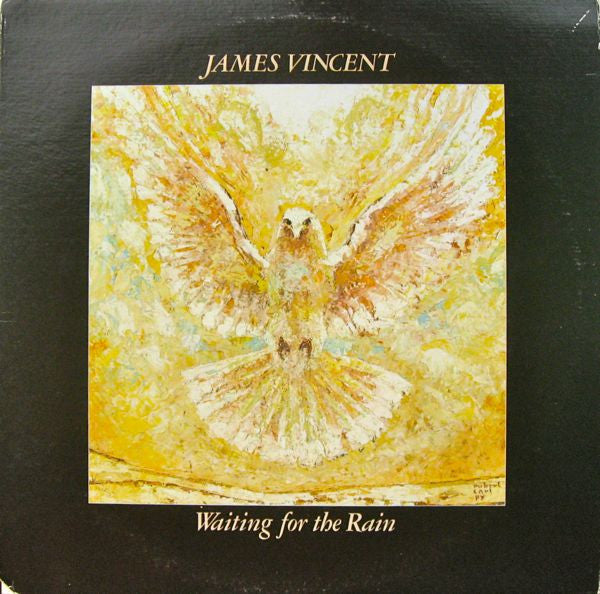 James Vincent : Waiting For The Rain (LP, Album)