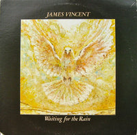 James Vincent : Waiting For The Rain (LP, Album)