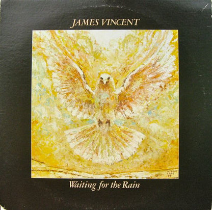 James Vincent : Waiting For The Rain (LP, Album)