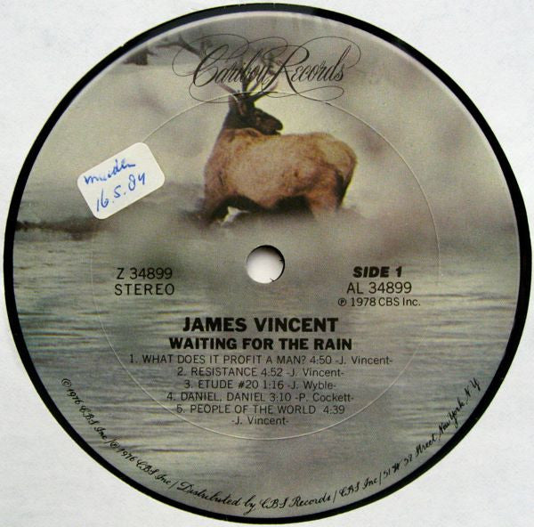 James Vincent : Waiting For The Rain (LP, Album)