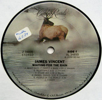 James Vincent : Waiting For The Rain (LP, Album)