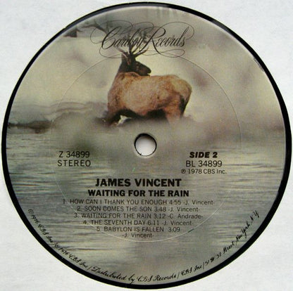 James Vincent : Waiting For The Rain (LP, Album)