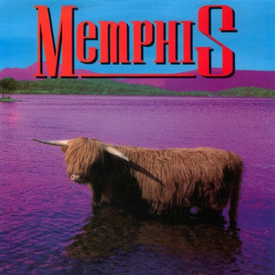 Memphis (12) : You Supply The Roses (12")