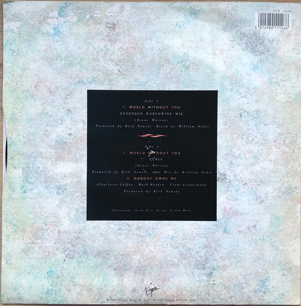 Belinda Carlisle : World Without You (12", Single)