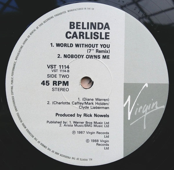 Belinda Carlisle : World Without You (12", Single)
