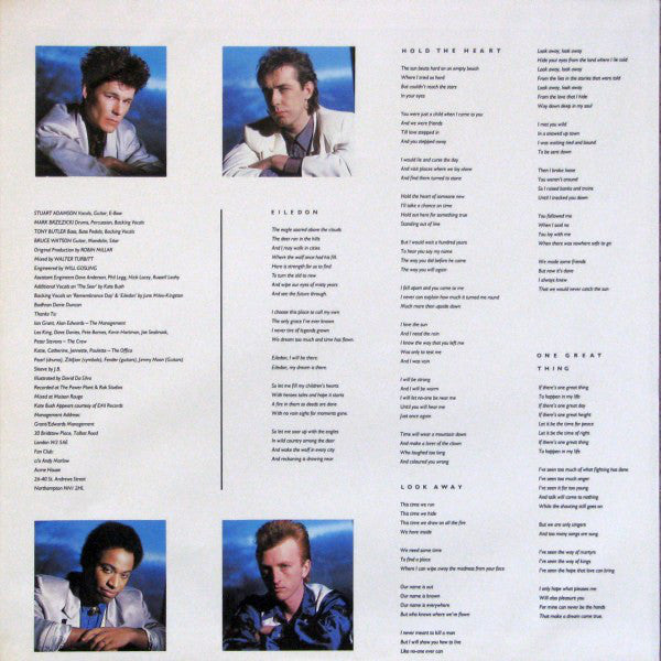 Big Country : The Seer (LP, Album)