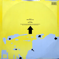 Enigma (2) : Which Way Is Up (12")
