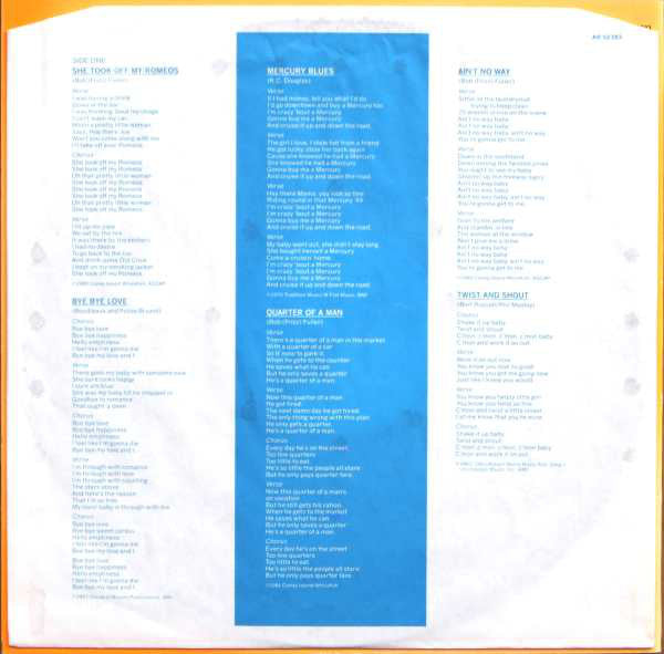 David Lindley : El Rayo-X (LP, Album)