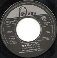 Underground Sunshine : Birthday / All I Want Is You (7", Single, Mono)