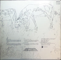 Lucio Battisti : Amore E Non Amore (LP, Album, RE)