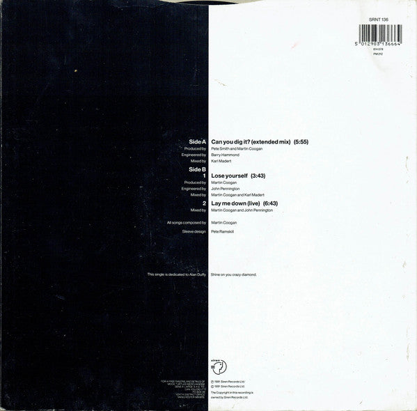 The Mock Turtles : Can You Dig It? (12", Single)