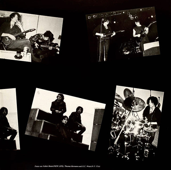 The Invincible Spirit : The Rollercoaster Revolution (LP, Album)